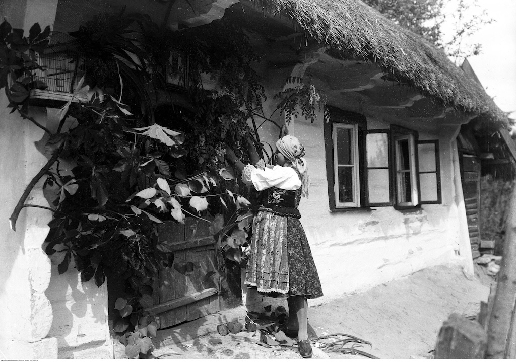 Wiejskie dziedzictwo Krakowa